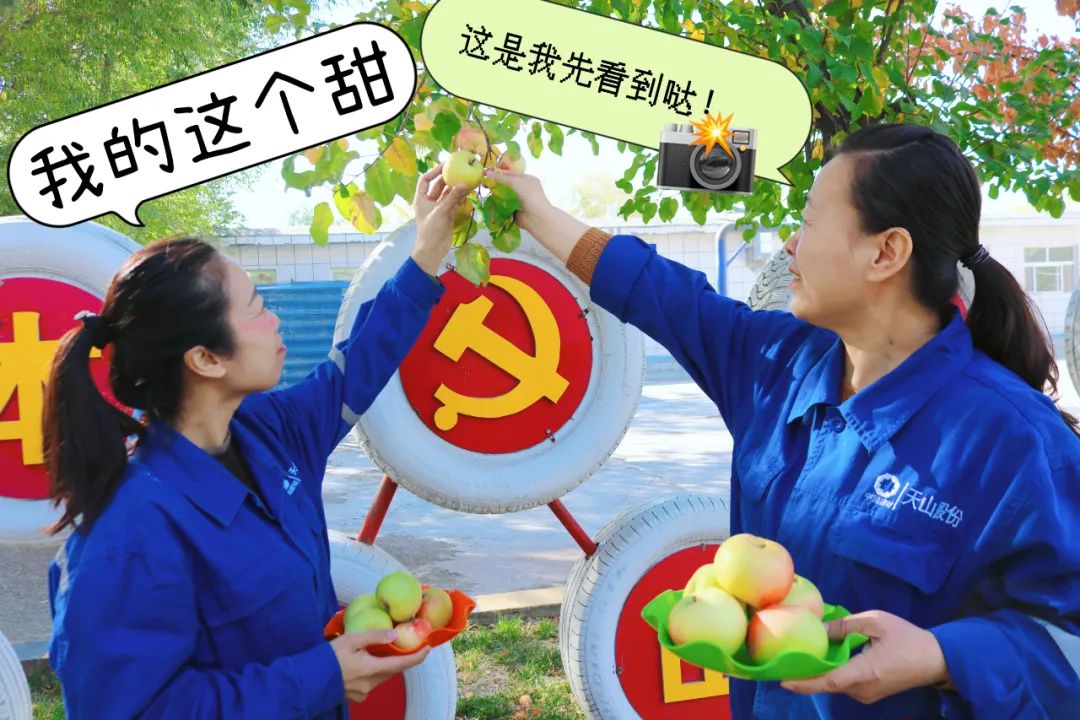 		 大丰收！来新疆天山水泥厂开心农场尝尝“秋”的味道~ _责任与文化_尊龙凯时集团有限公司	