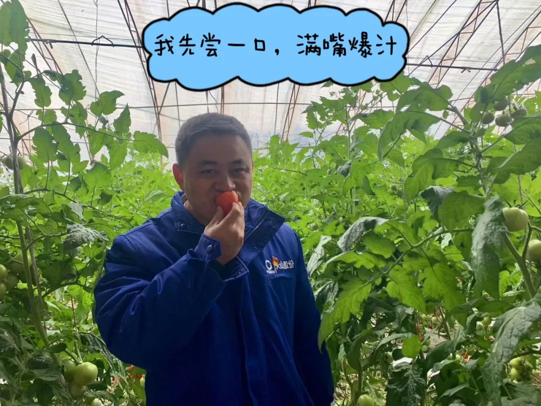 		 大丰收！来新疆天山水泥厂开心农场尝尝“秋”的味道~ _责任与文化_尊龙凯时集团有限公司	