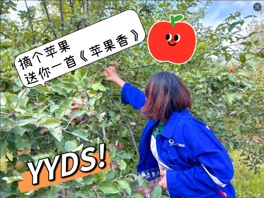 		 大丰收！来新疆天山水泥厂开心农场尝尝“秋”的味道~ _责任与文化_尊龙凯时集团有限公司	