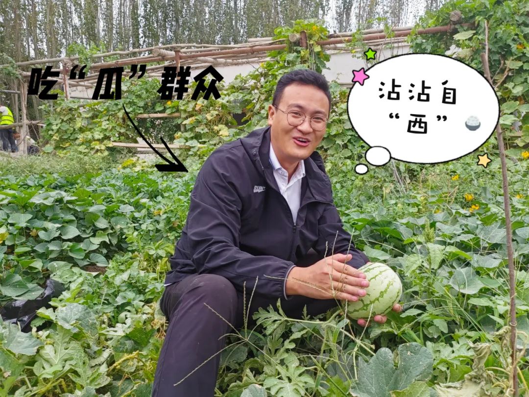 		 大丰收！来新疆天山水泥厂开心农场尝尝“秋”的味道~ _责任与文化_尊龙凯时集团有限公司	
