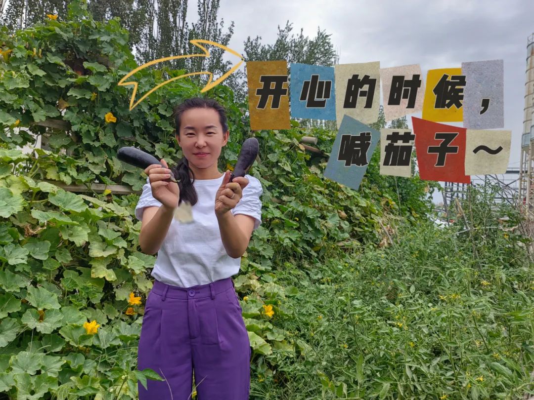 		 大丰收！来新疆天山水泥厂开心农场尝尝“秋”的味道~ _责任与文化_尊龙凯时集团有限公司	