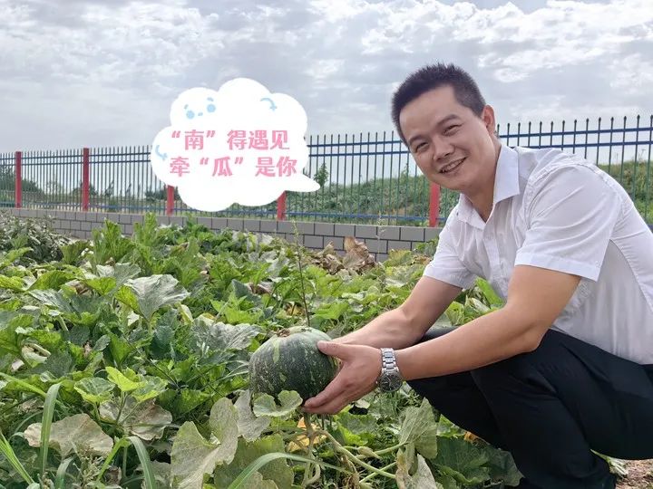 		 大丰收！来新疆天山水泥厂开心农场尝尝“秋”的味道~ _责任与文化_尊龙凯时集团有限公司	