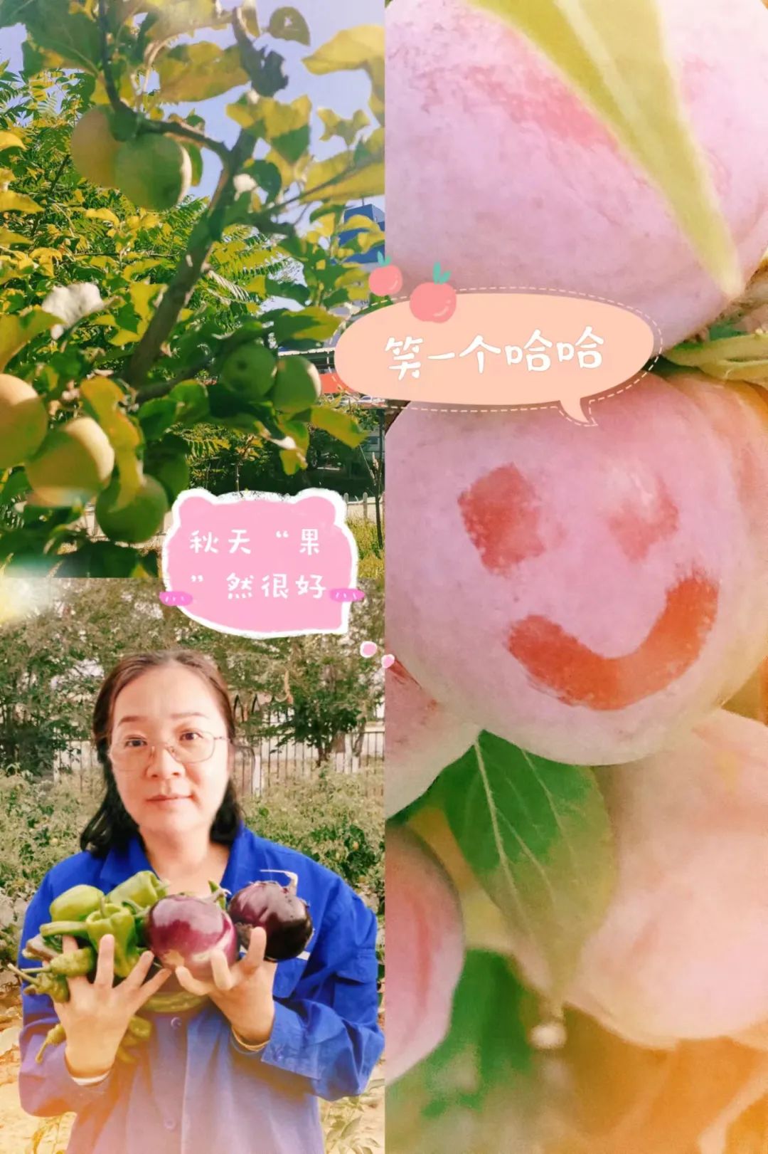 		 大丰收！来新疆天山水泥厂开心农场尝尝“秋”的味道~ _责任与文化_尊龙凯时集团有限公司	