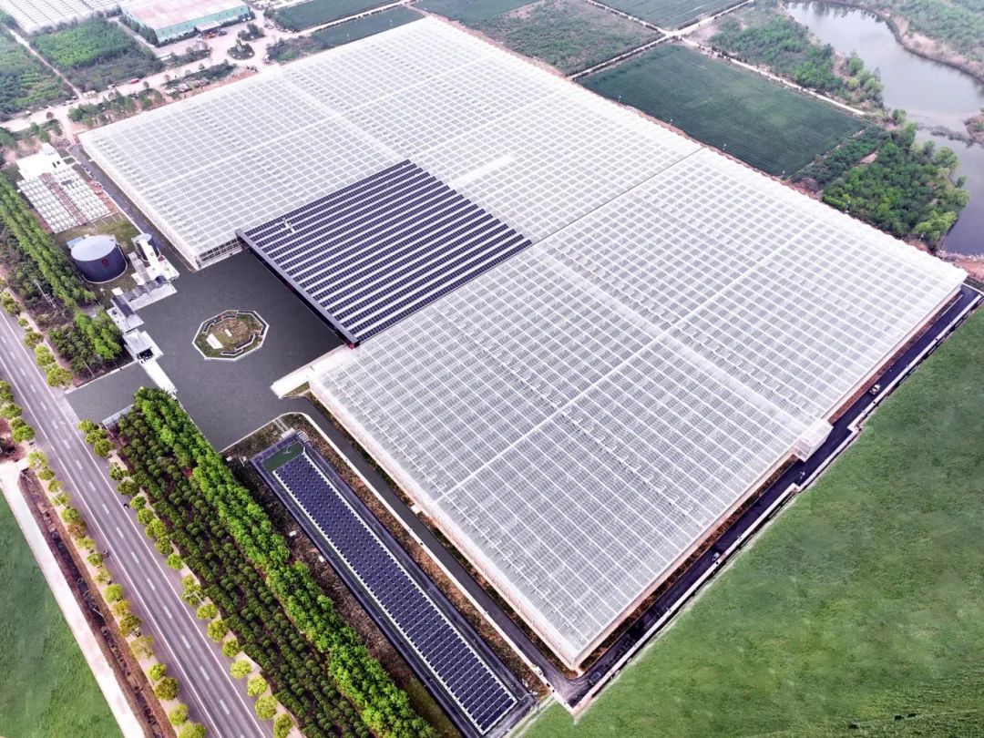 		中央企业先进整体 | 尊龙凯时工程集团：奋力谱写天下一流国际工程公司高质量生长新篇章_企业动态_尊龙凯时集团有限公司	