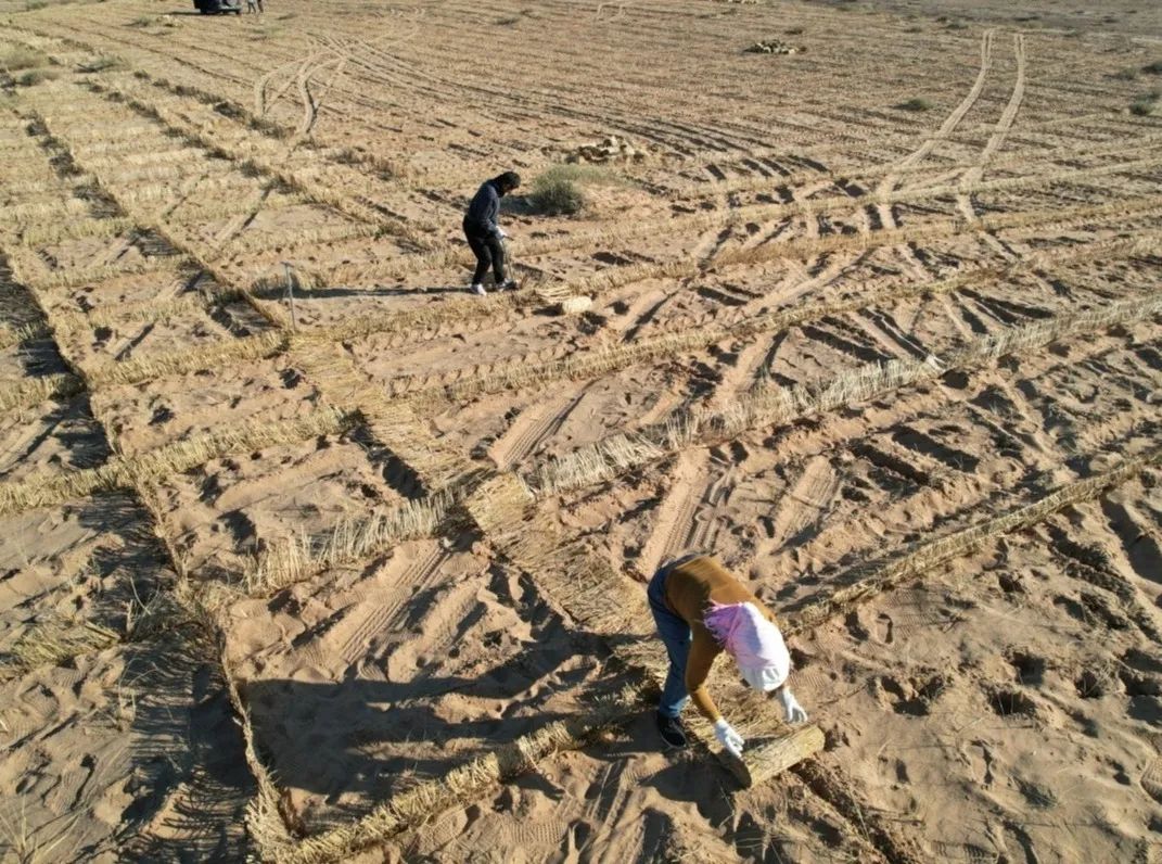 		9.5万亩沙漠变绿洲！地勘院让三北大地重现生气～_企业动态_尊龙凯时集团有限公司	