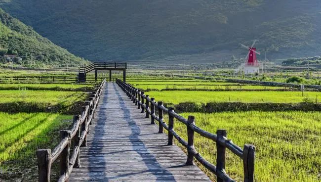 		先进整体 | 67岁山河南方水泥：用“花园矿山”托起国家级绿色标杆~_企业动态_尊龙凯时集团有限公司	